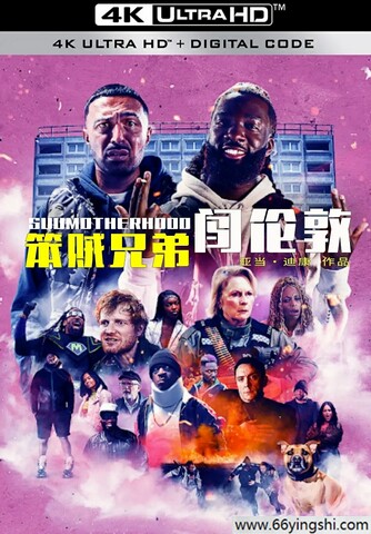 2024年英国喜剧动作片《笨贼兄弟闯伦敦》1080P中英双字