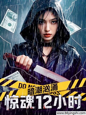 2025年国产动作片《暗潮汹涌之惊魂12小时》1080p.HD国语中字