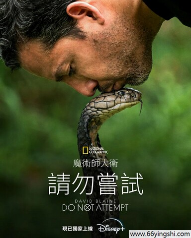 2025年美国纪录片《大卫·布雷恩：请勿尝试》1080p.HD中字