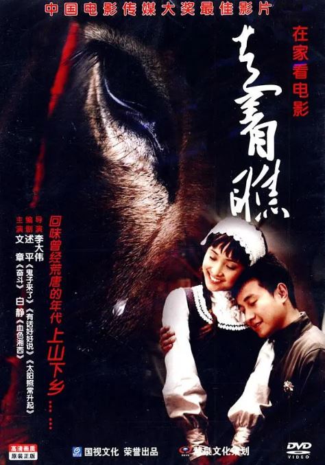 2009年文章,岳红7.6分剧情片《走着瞧》1080P国语中英双字