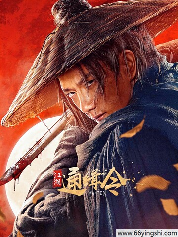 2025年黄涛,孙一明动作剧情《江湖通缉令》1080P国语中字