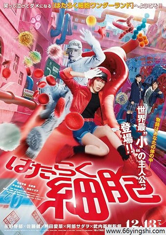2024年日本7.4分奇幻剧情《工作细胞 真人版》1080P中字