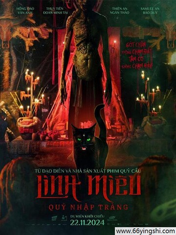 2024年越南恐怖片《鬼猫》1080P中字