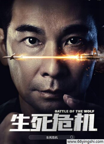 2025年赵文卓,赵子琪动作剧情《生死危机》1080P国语中字