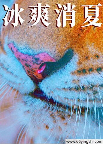 2025年刘牧,钱洁剧情片《寒冰白血》1080P国语中字